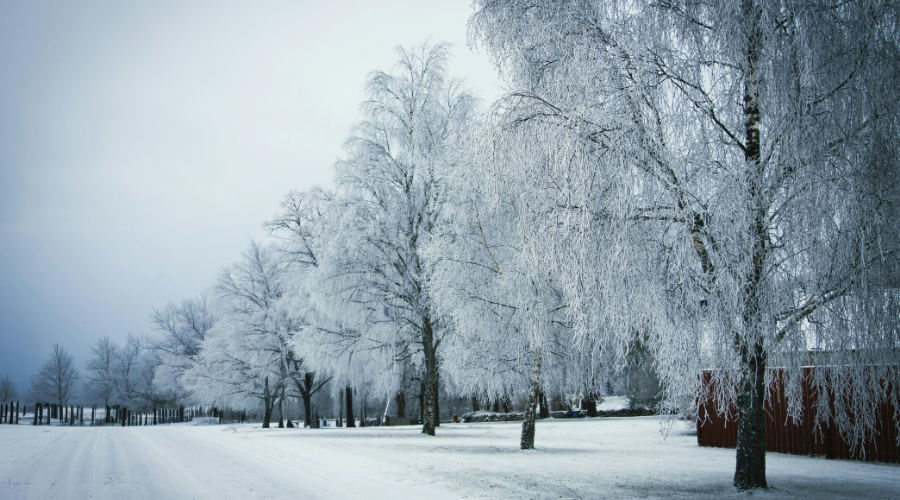 Come-affrontare-i-rischi-invernali-2 